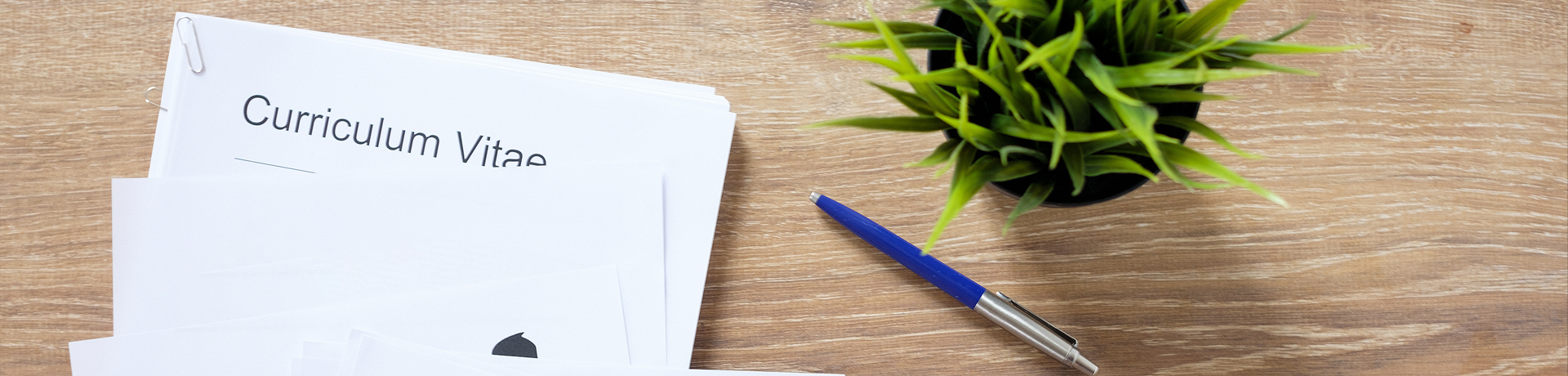 罗克福德大学 中文网